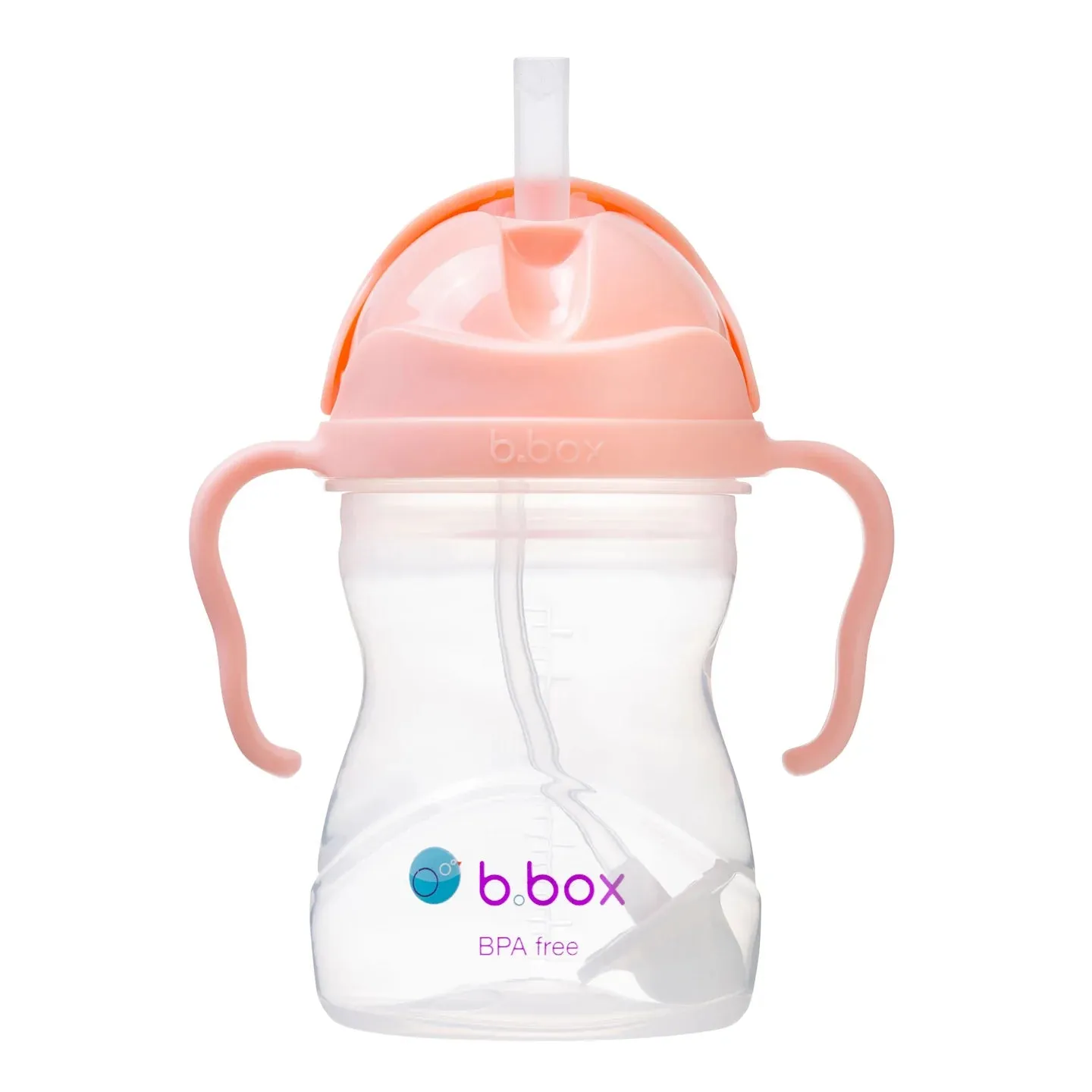 B Box Sippy Cup - Tutti Frutti