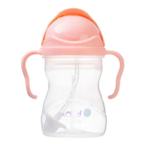 B Box Sippy Cup - Tutti Frutti