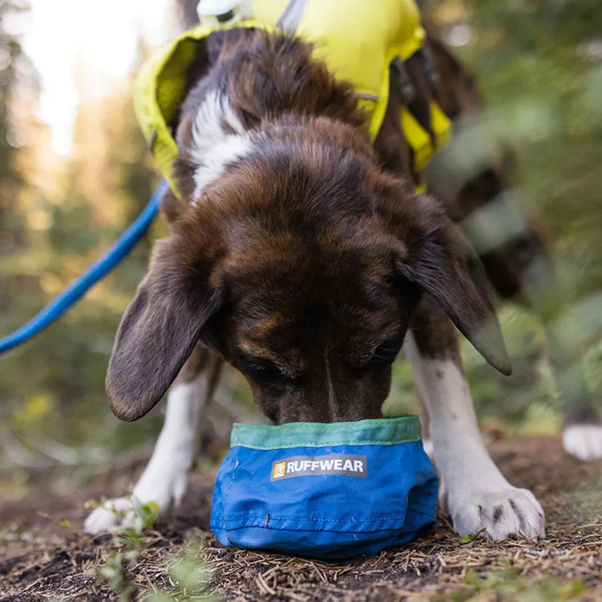 Trail Runner Ultralight Dog Bowl