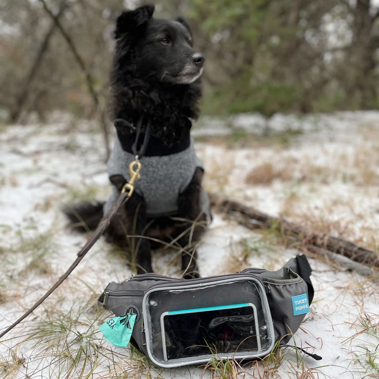 YUCKY PUPPY Dog Walking Fanny Pack