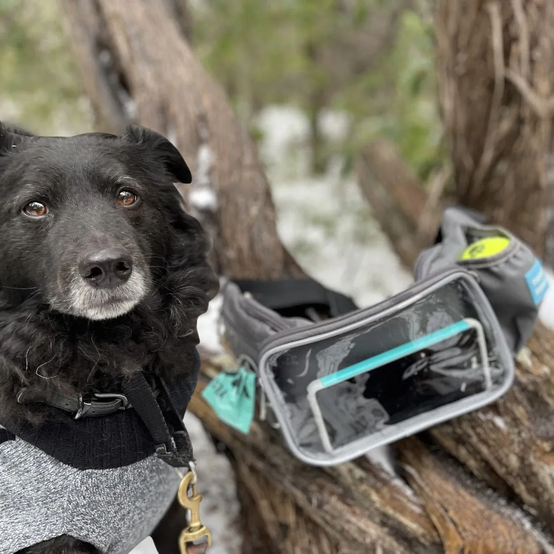 YUCKY PUPPY Dog Walking Fanny Pack